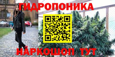 а пвп мука Гай