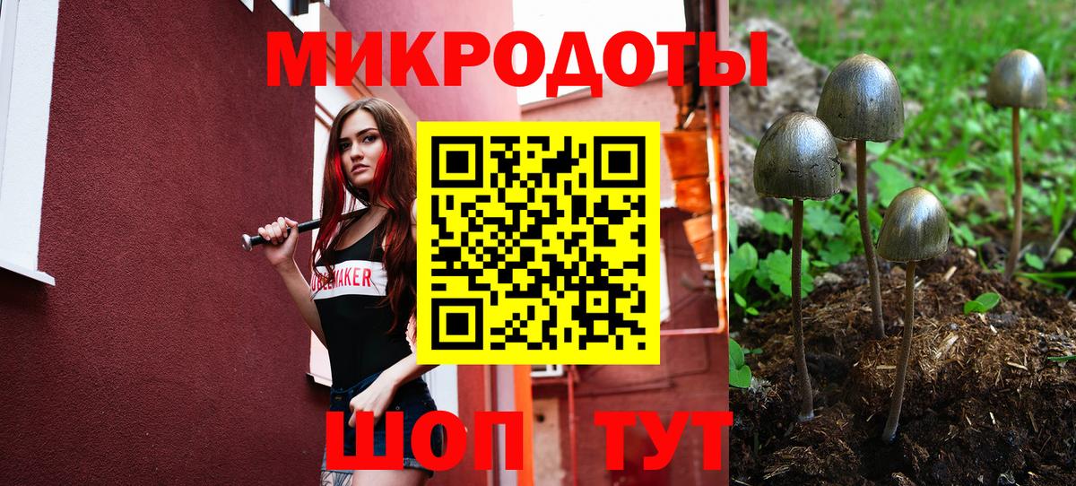 Псилоцибиновые грибы GOLDEN TEACHER Ивантеевка