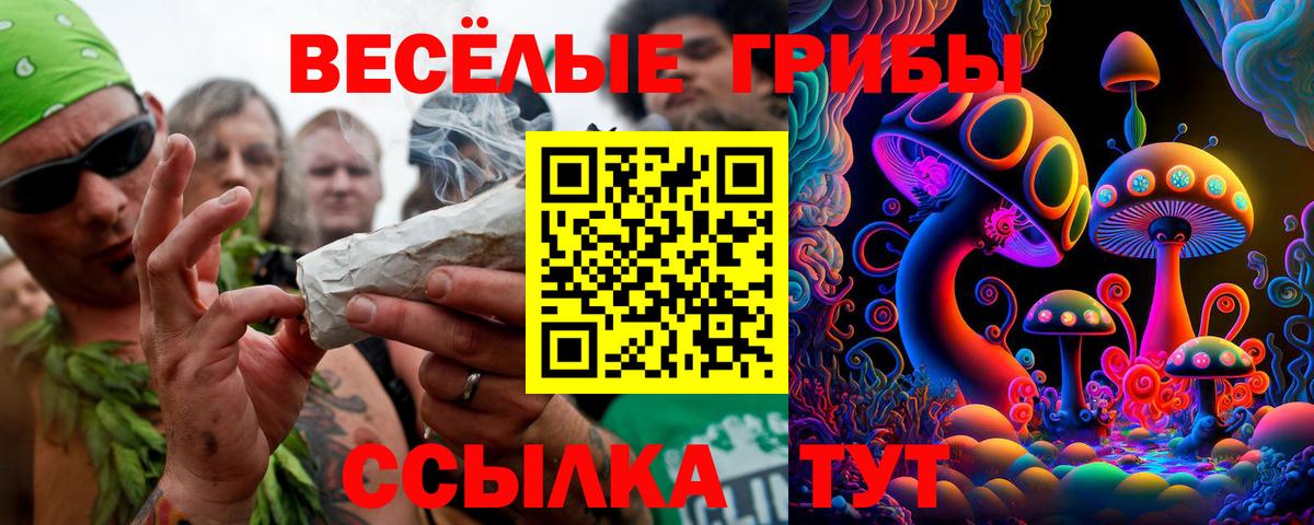 купить закладку  Вход с VPN  Псилоцибиновые грибы Psilocybine cubensis  Ивантеевка  Галлюциногенные грибы ЛСД 